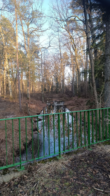 Powiat lubliniecki. Gdzie można spotkać bobry?