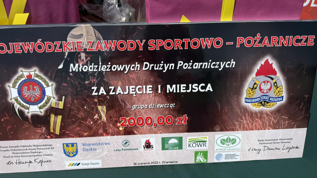 Strażacka rywalizacja. Wojewódzkie zawody pożarnicze