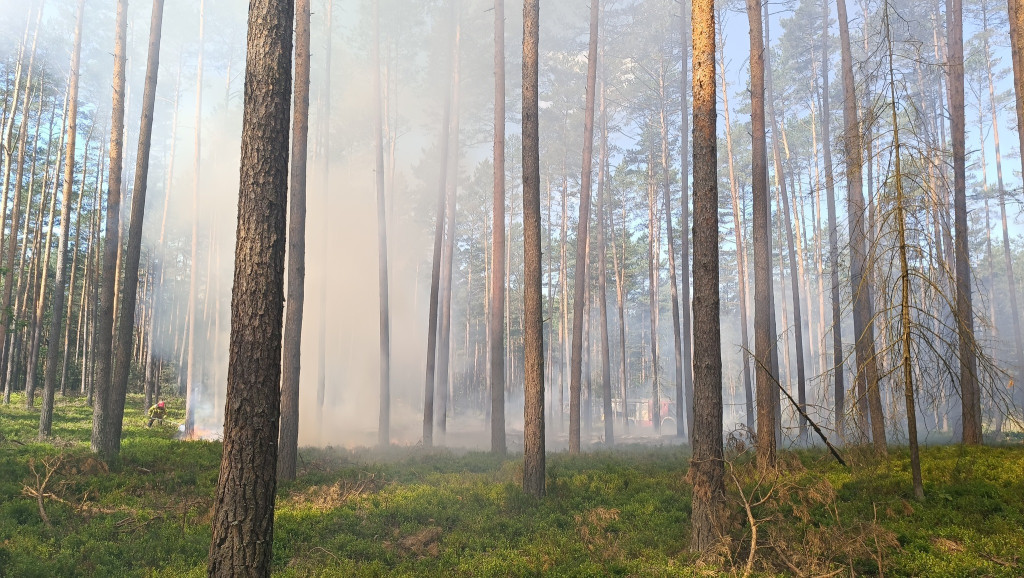 Pożar w leśnictwie Kokotek, wezwano śmigłowiec