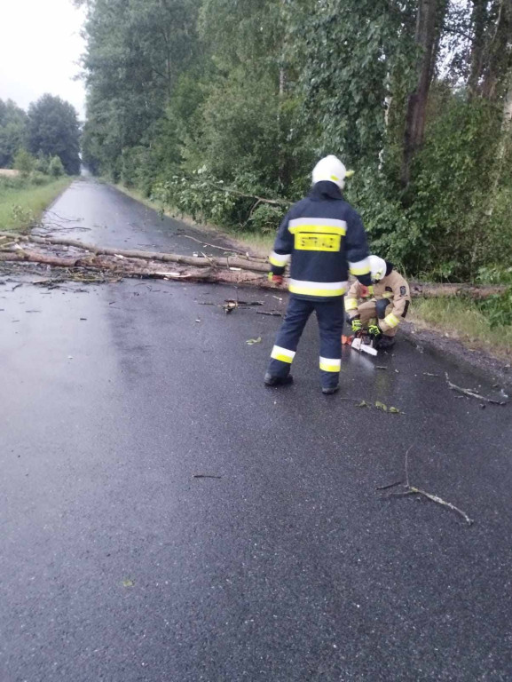 Skutki burzy w powiecie lublinieckim [FOTO]