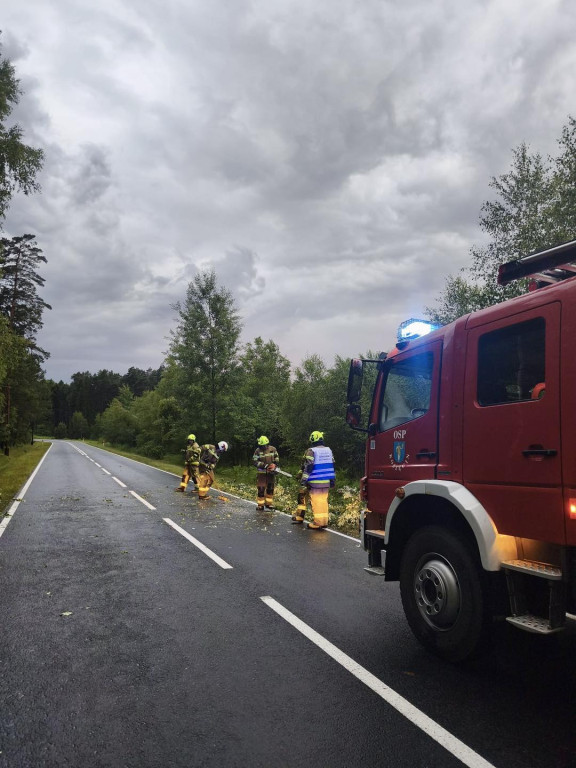 Skutki burzy w powiecie lublinieckim [FOTO]