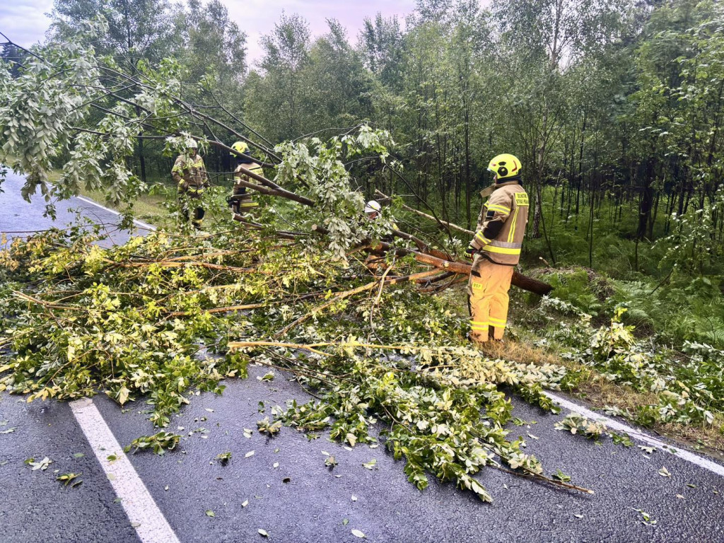 Skutki burzy w powiecie lublinieckim [FOTO]