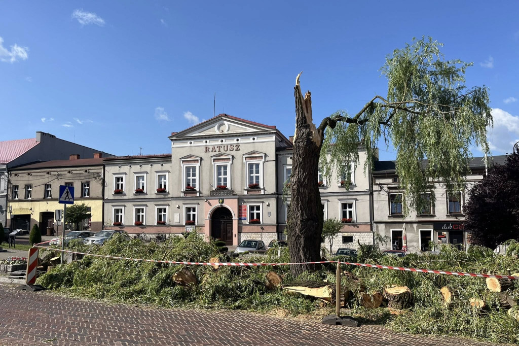 Silny wiatr złamał wierzbę na rynku