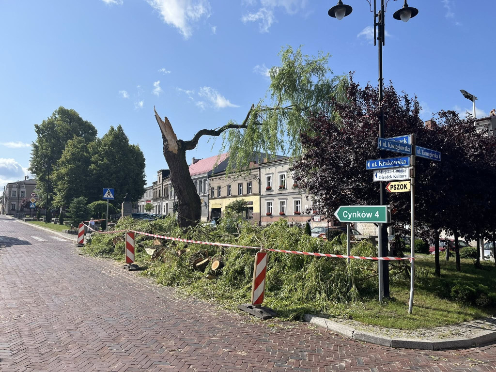 Silny wiatr złamał wierzbę na rynku