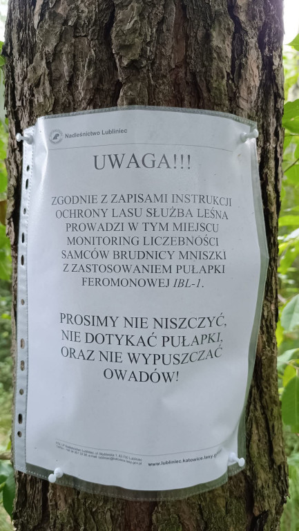 Lublineic. Pułapki w lesie. Nie niszcie ich