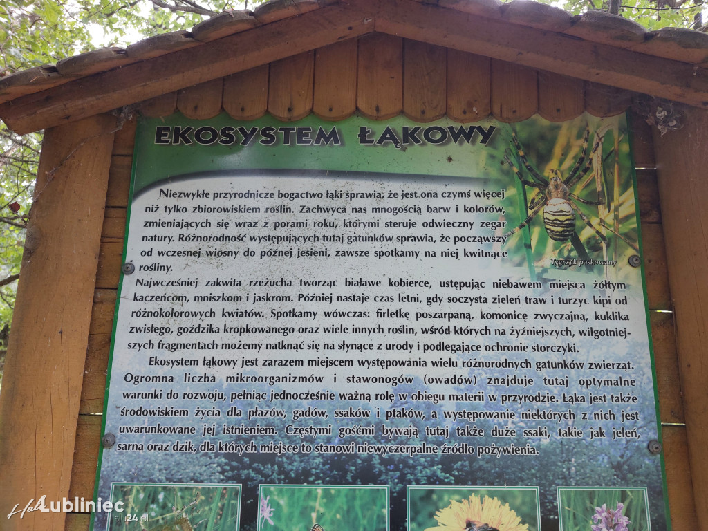 Na Klepaczkę w Koszęcinie