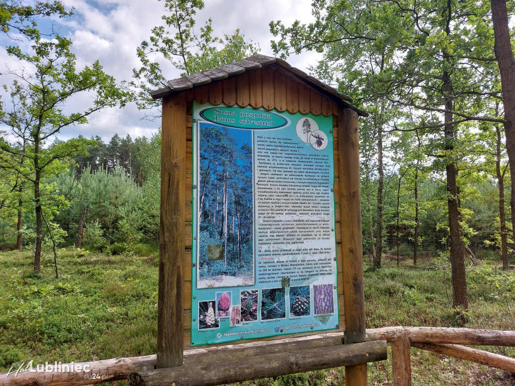 Na Klepaczkę w Koszęcinie