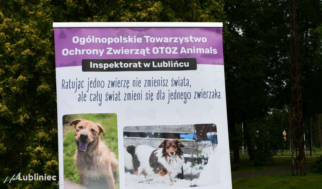 Lubliniec. Gala psów nie tylko rasowych [ZDJĘCIA]