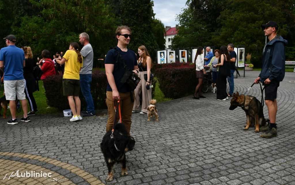 Lubliniec. Gala psów nie tylko rasowych [ZDJĘCIA]