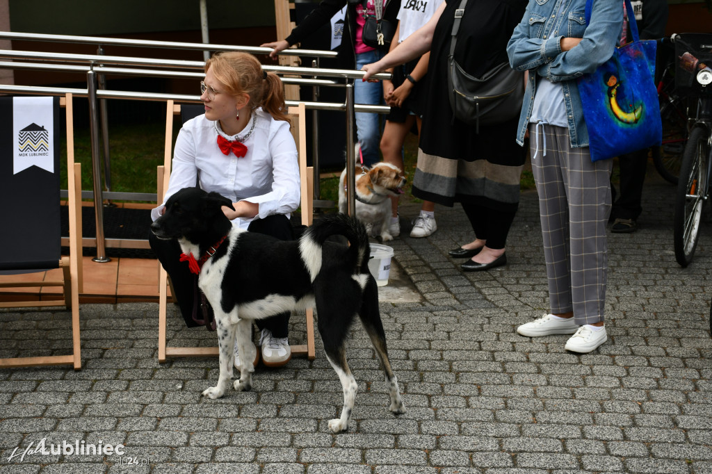Lubliniec. Gala psów nie tylko rasowych [ZDJĘCIA]