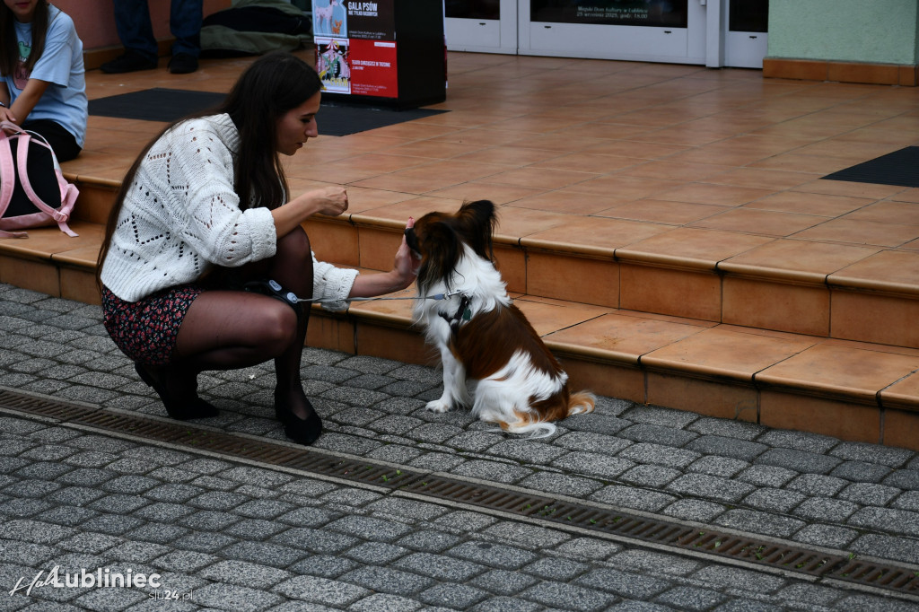 Lubliniec. Gala psów nie tylko rasowych [ZDJĘCIA]