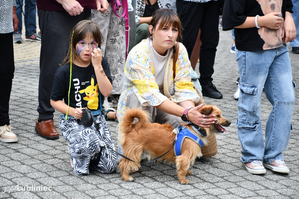 Lubliniec. Gala psów nie tylko rasowych [ZDJĘCIA]