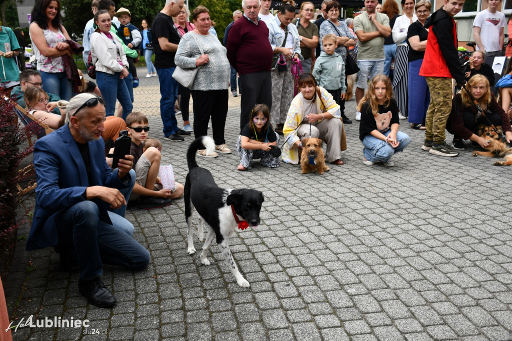 Lubliniec. Gala psów nie tylko rasowych [ZDJĘCIA]