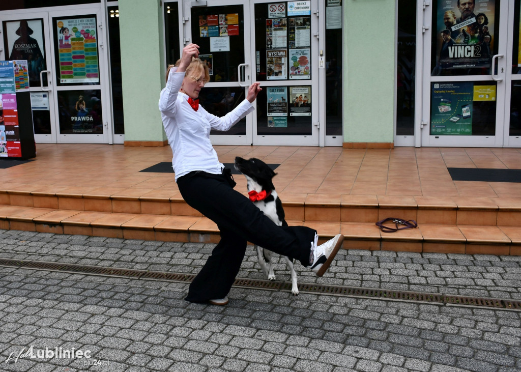 Lubliniec. Gala psów nie tylko rasowych [ZDJĘCIA]