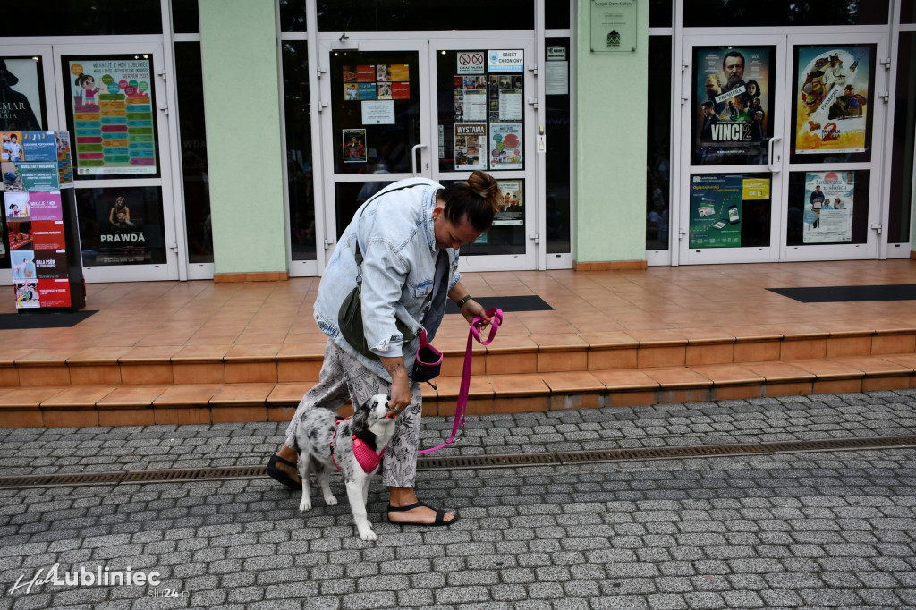 Lubliniec. Gala psów nie tylko rasowych [ZDJĘCIA]