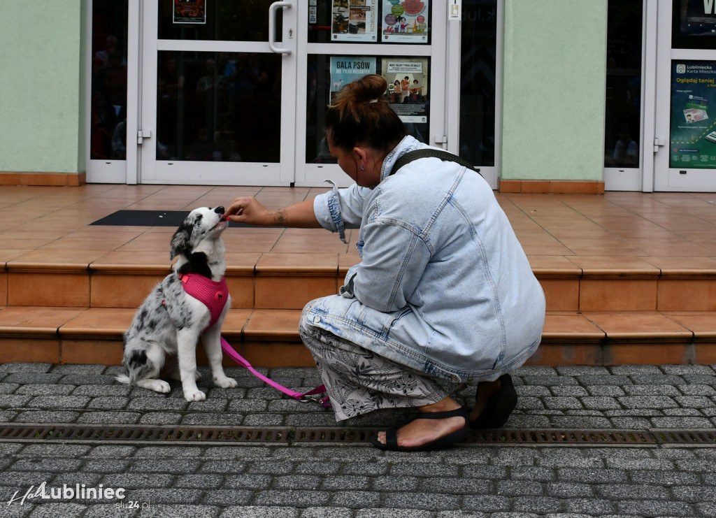 Lubliniec. Gala psów nie tylko rasowych [ZDJĘCIA]