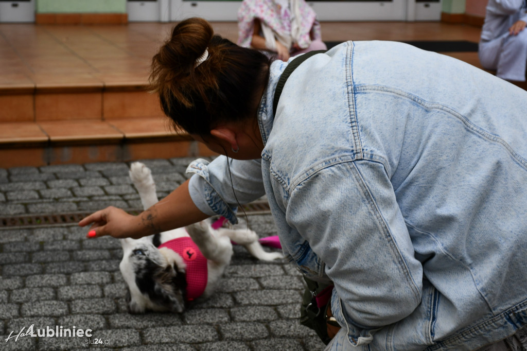 Lubliniec. Gala psów nie tylko rasowych [ZDJĘCIA]