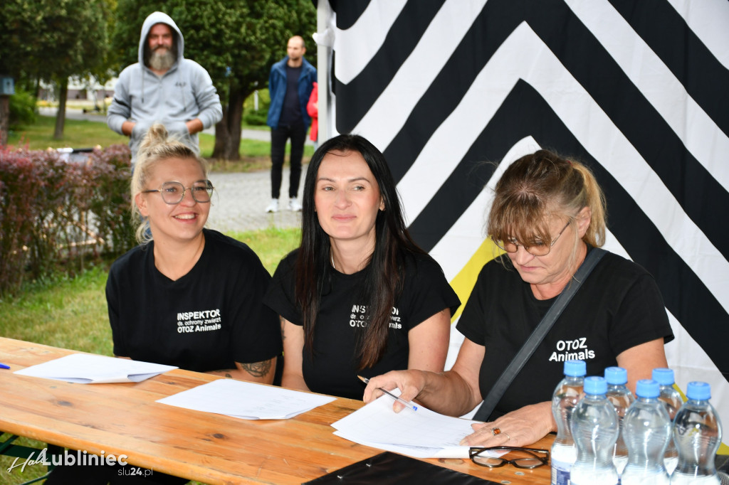 Lubliniec. Gala psów nie tylko rasowych [ZDJĘCIA]
