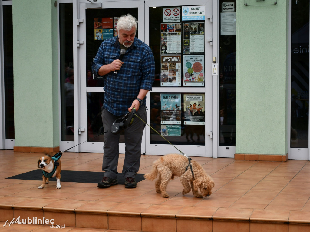 Lubliniec. Gala psów nie tylko rasowych [ZDJĘCIA]