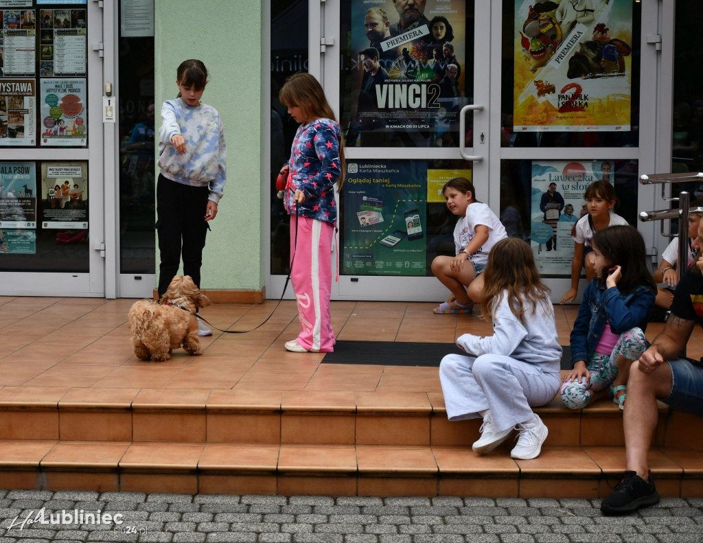 Lubliniec. Gala psów nie tylko rasowych [ZDJĘCIA]
