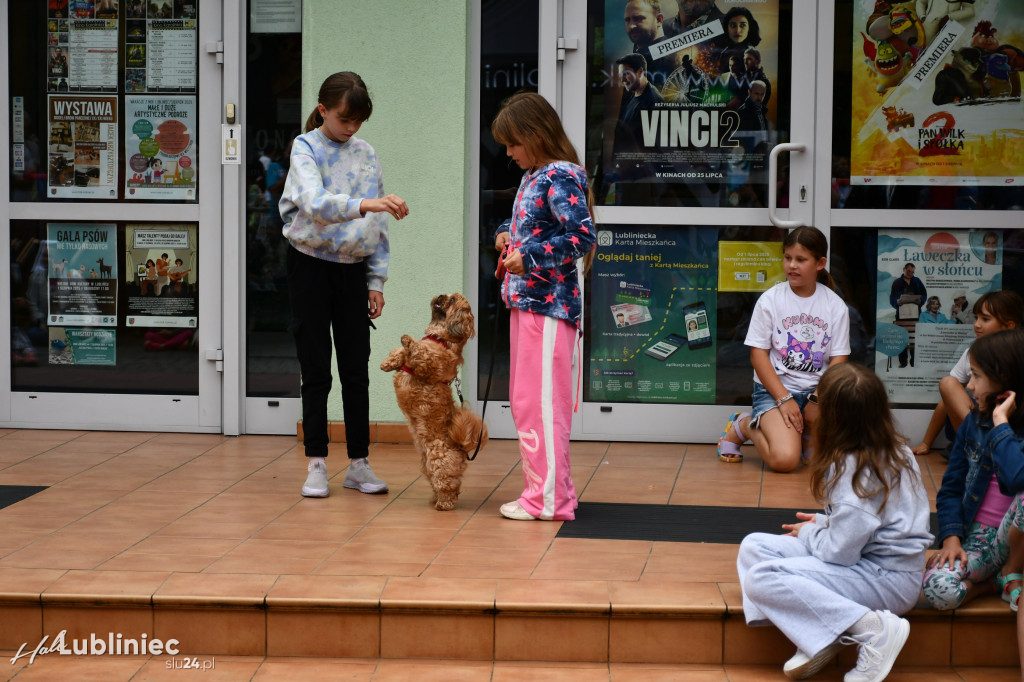 Lubliniec. Gala psów nie tylko rasowych [ZDJĘCIA]