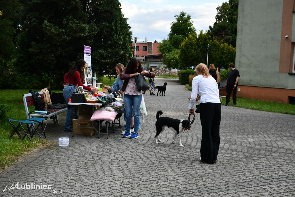 Lubliniec. Gala psów nie tylko rasowych [ZDJĘCIA]