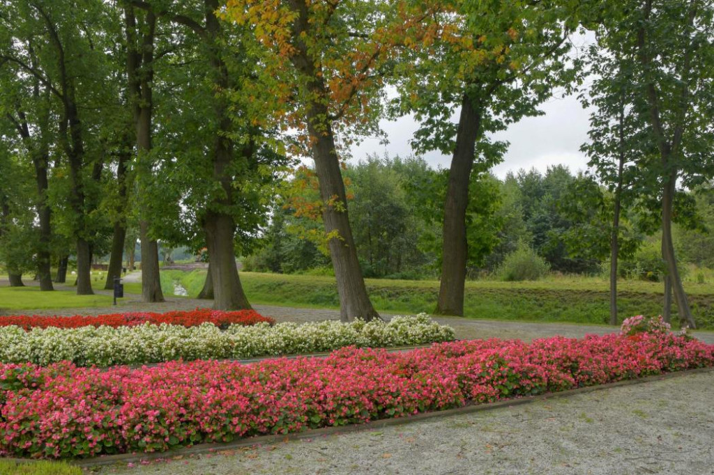 Lubliniec i Ciasna w konkursie na najlepszą...