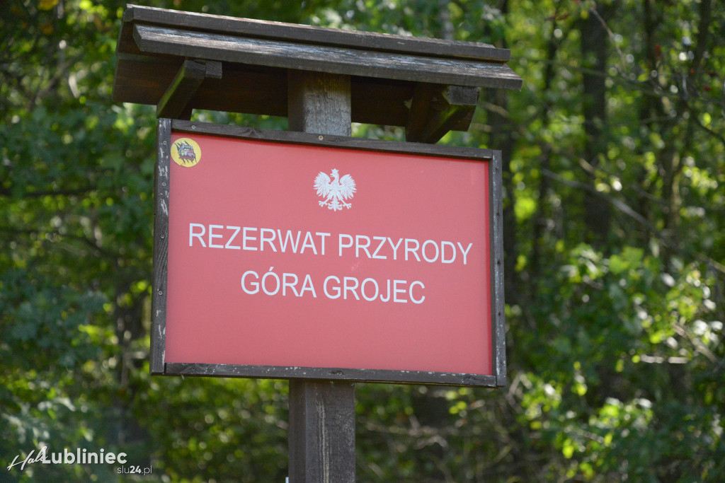 Góra Grojec. Przyroda rządzi się tu swoimi prawami