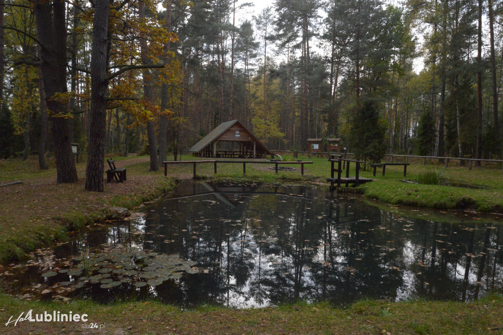 Spacer z leśnikiem nad rzeką Mała Panew