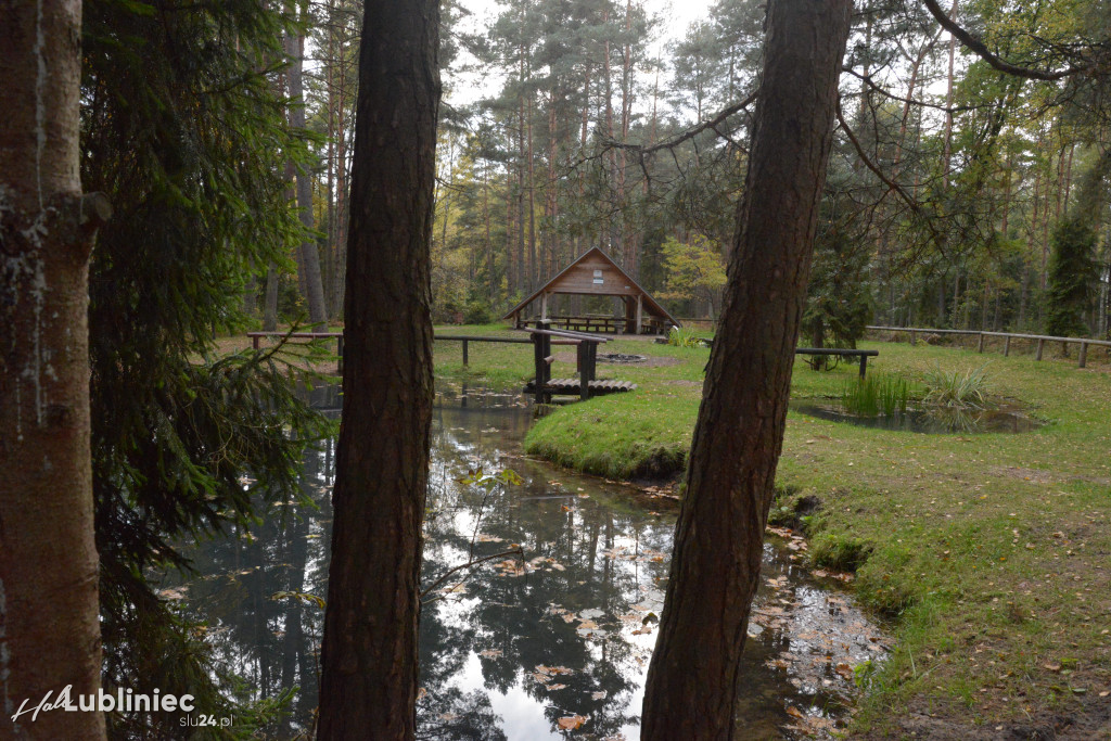Spacer z leśnikiem nad rzeką Mała Panew