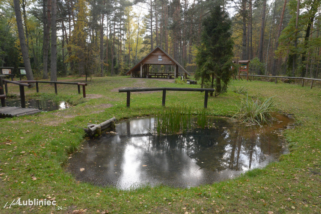 Spacer z leśnikiem nad rzeką Mała Panew
