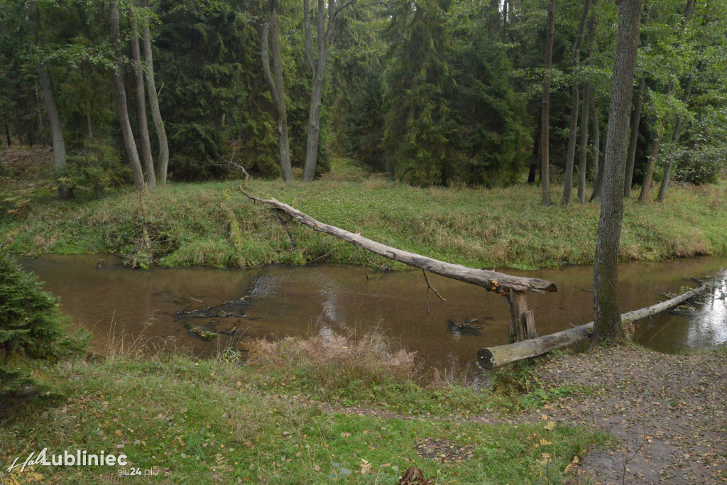Spacer z leśnikiem nad rzeką Mała Panew