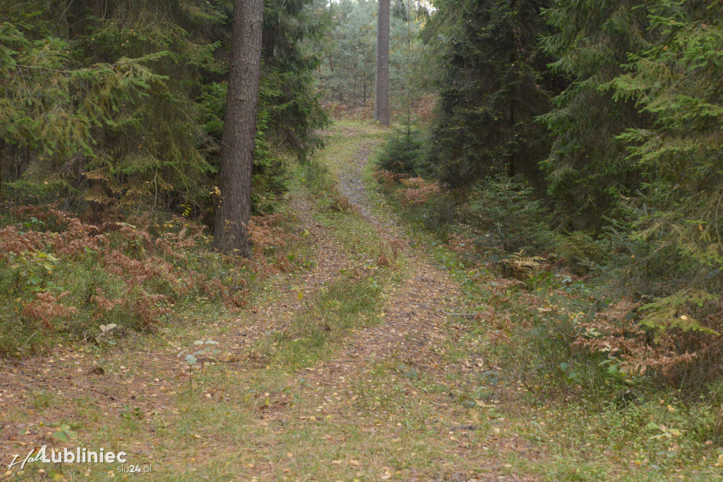 Spacer z leśnikiem nad rzeką Mała Panew