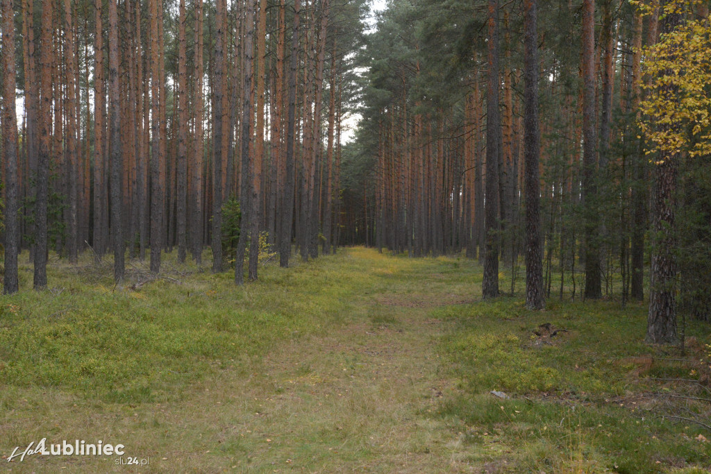 Spacer z leśnikiem nad rzeką Mała Panew