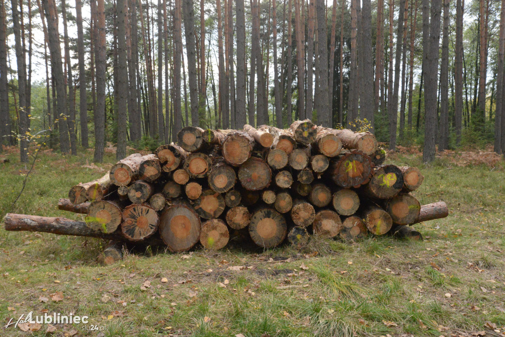 Spacer z leśnikiem nad rzeką Mała Panew