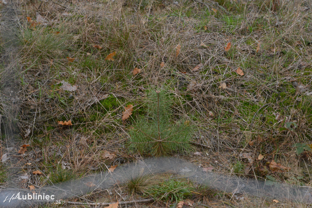 Spacer z leśnikiem nad rzeką Mała Panew