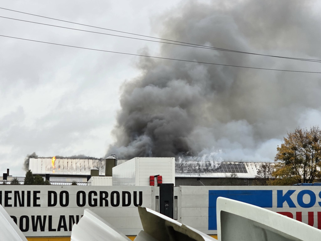 Pożar w Sadowie. Kilkadziesiąt zastępów strażackich