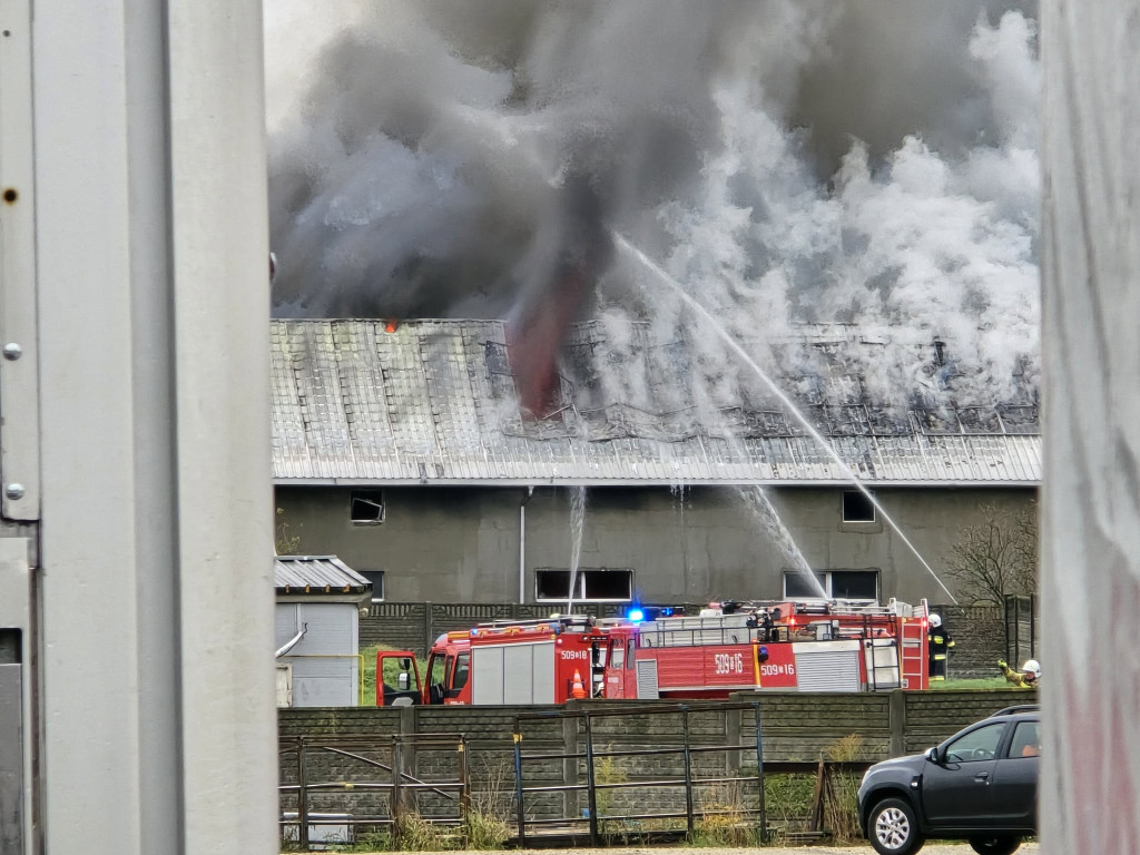 Pożar w Sadowie. Kilkadziesiąt zastępów strażackich