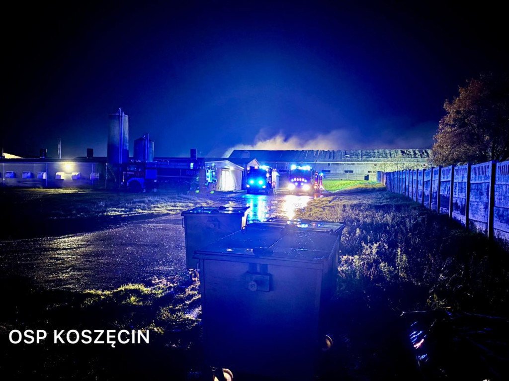 Pożar w Sadowie. Kilkadziesiąt zastępów strażackich