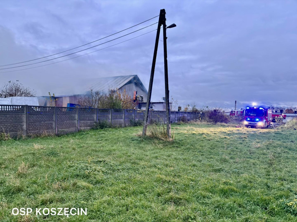 Pożar w Sadowie. Kilkadziesiąt zastępów strażackich