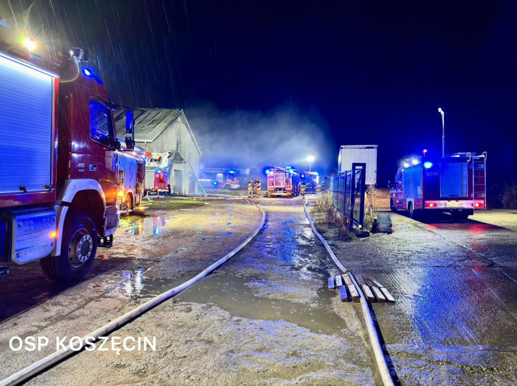 Pożar w Sadowie. Kilkadziesiąt zastępów strażackich