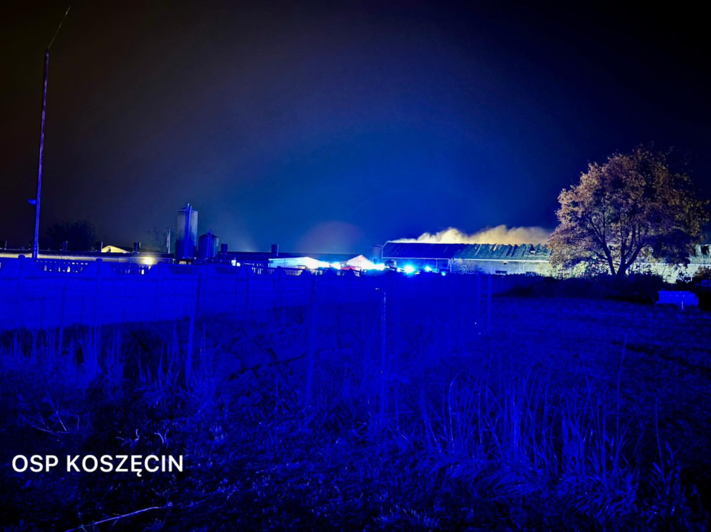 Pożar w Sadowie. Kilkadziesiąt zastępów strażackich