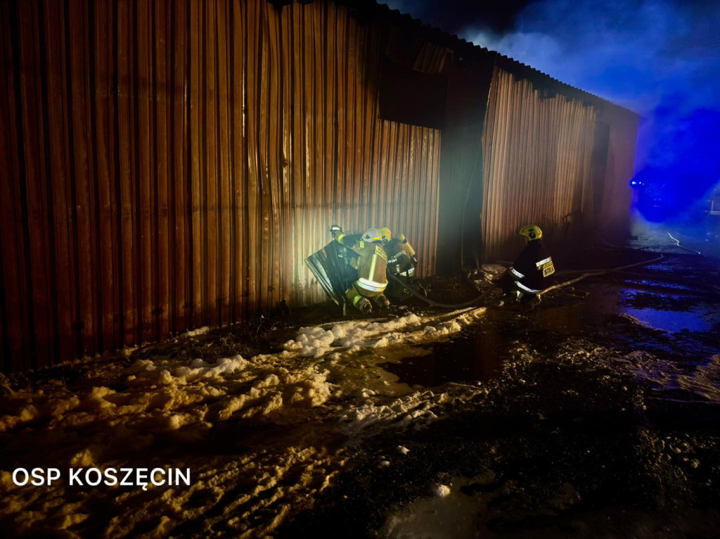 Pożar w Sadowie. Kilkadziesiąt zastępów strażackich