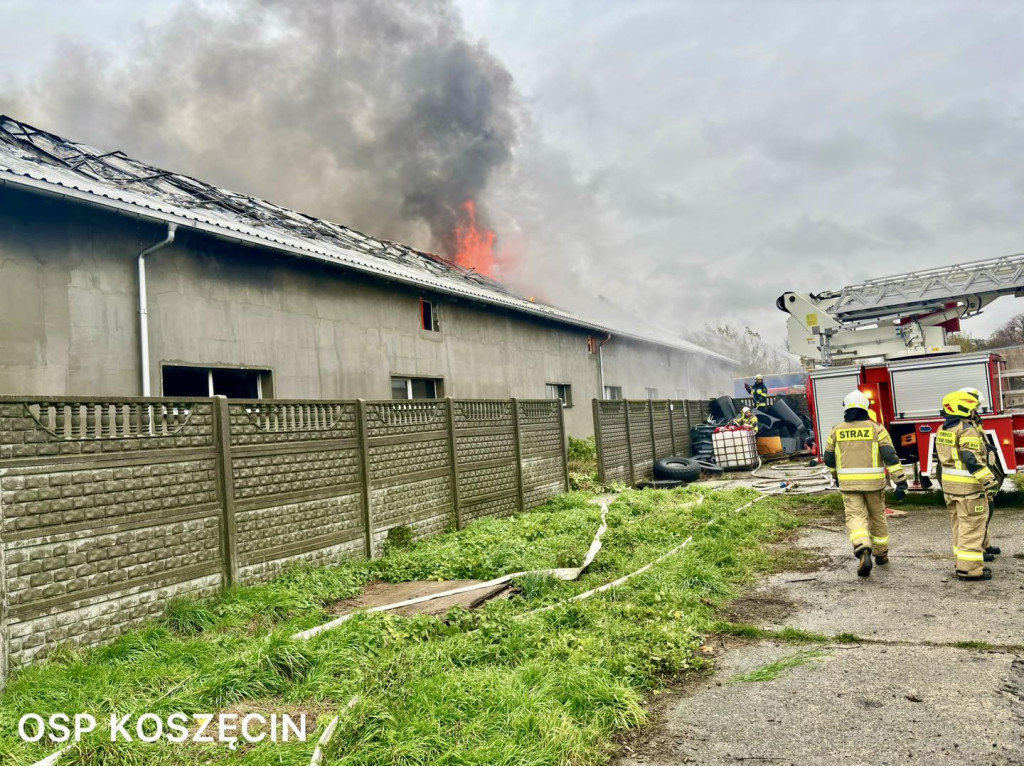 Pożar w Sadowie. Kilkadziesiąt zastępów strażackich