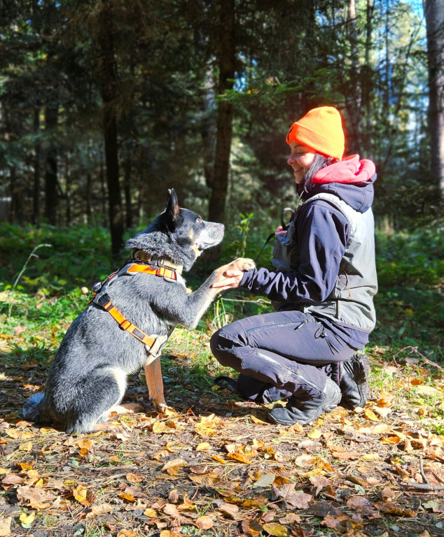 Powiat lubliniecki. Nowi ratownicy gotowi do akcji