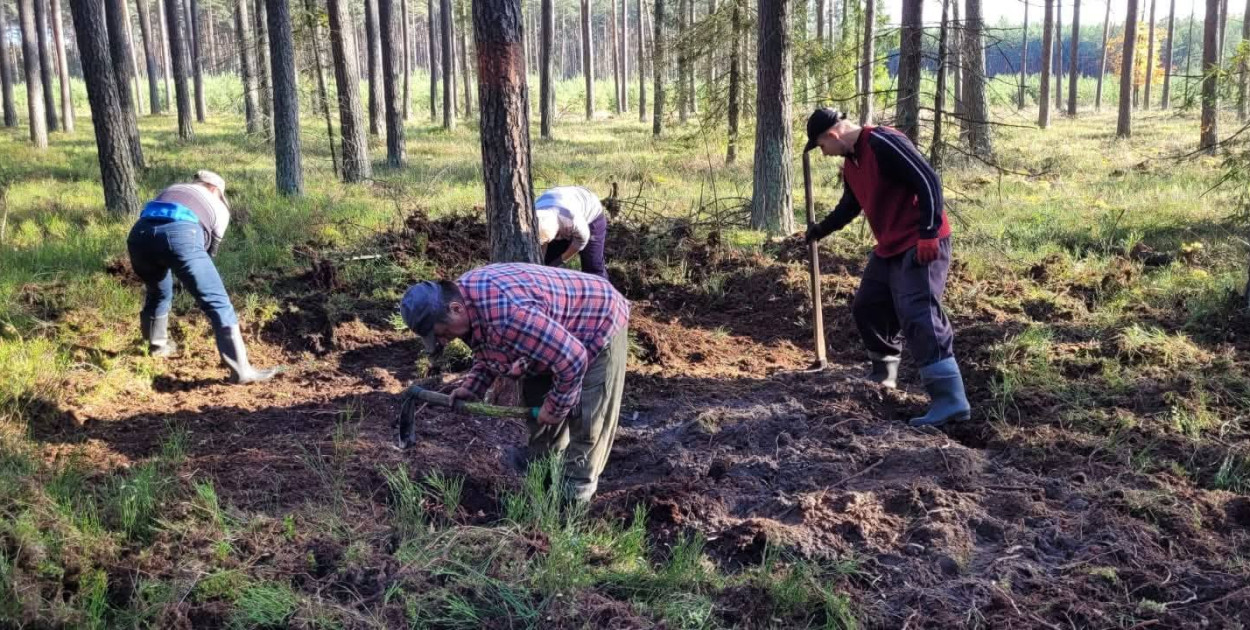 Nadleśnictwo Lubliniec. Poszukiwania w lesie