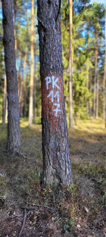 Nadleśnictwo Lubliniec. Poszukiwania w lesie