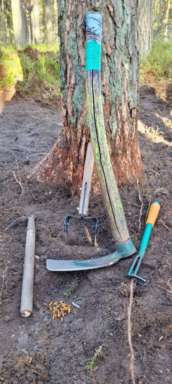 Nadleśnictwo Lubliniec. Poszukiwania w lesie