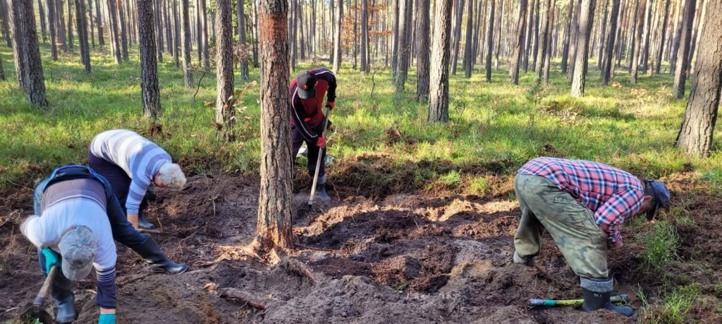 Nadleśnictwo Lubliniec. Poszukiwania w lesie