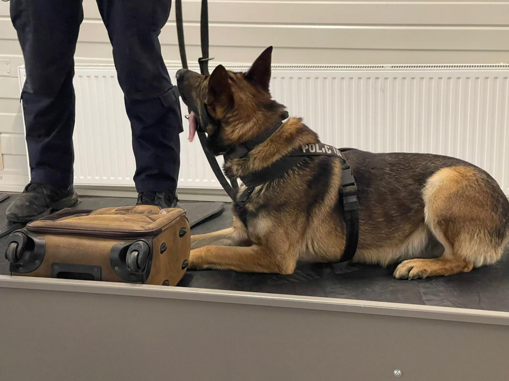 Komandosi z Lublińca szkolili innych mundurowych